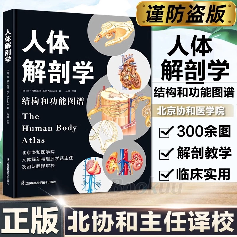 人体解剖学：结构和功能图谱 实用教材医学类系统构造专业图鉴骨骼