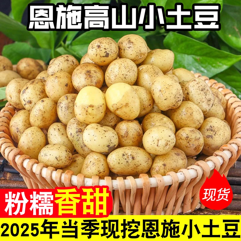 网红恩施黄心小土豆呀新鲜现挖3/5/9斤迷你马铃薯洋芋[粉糯香甜]
