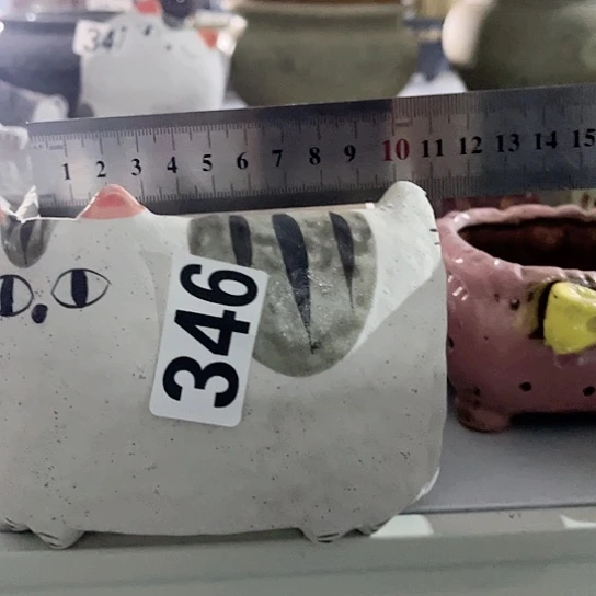 多肉植物花盆花盆