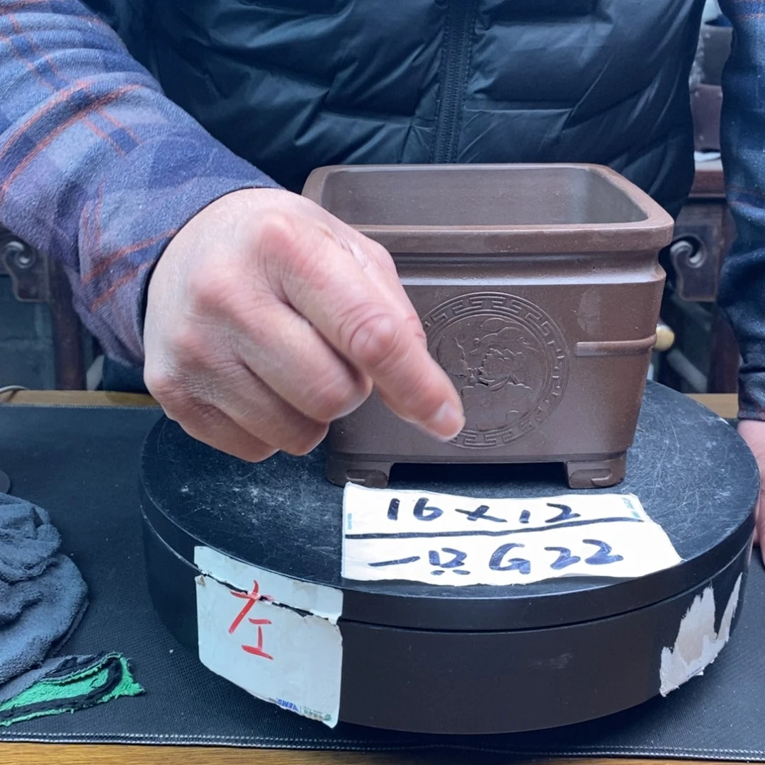 红陶货号一只G22