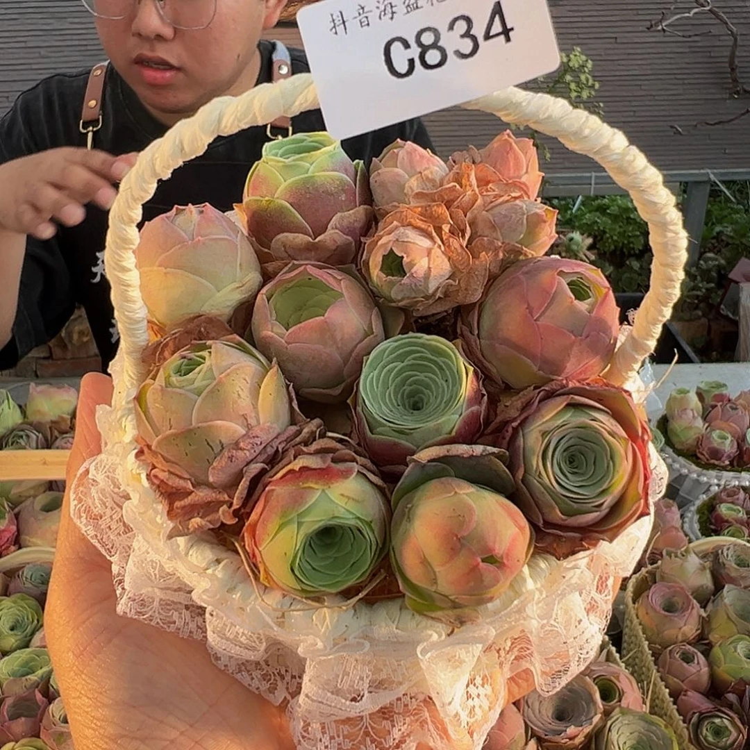 C834。 玫瑰混手提蓝