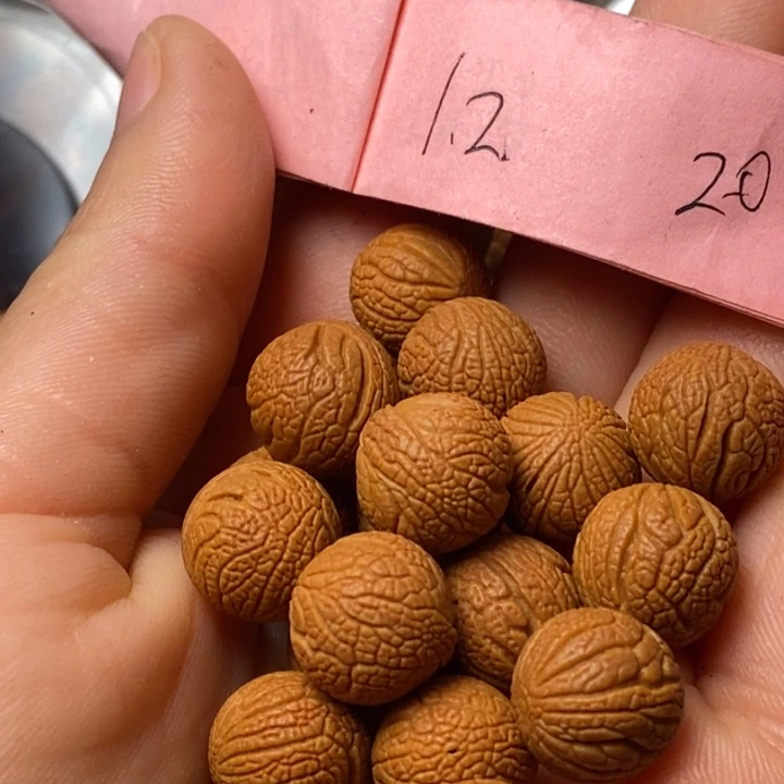 吊坠桃核F****祖陕西秦岭山桃核