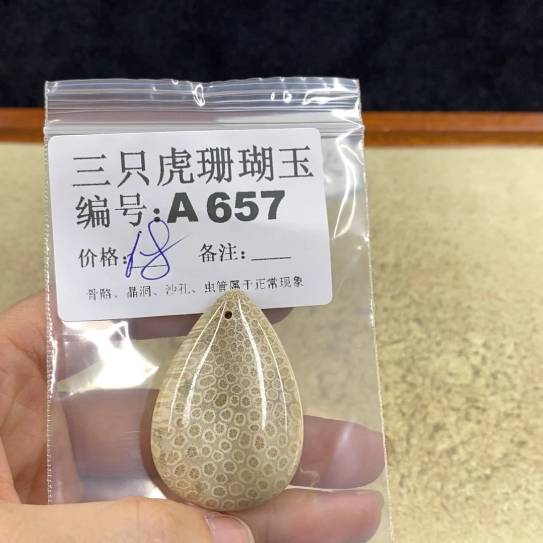 硅化珊瑚（珊瑚玉）1未镶嵌科*娜