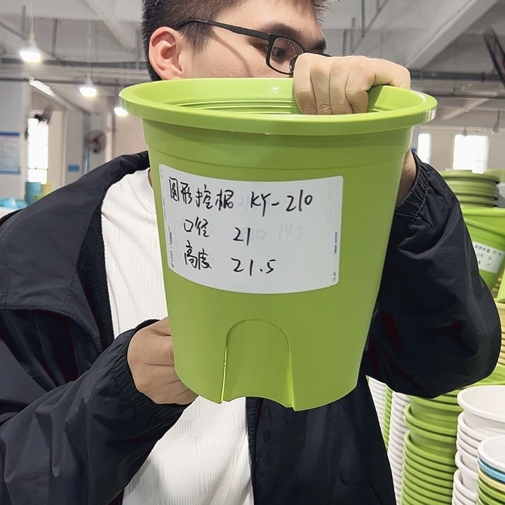 正品圆控口21高21果绿无托8只