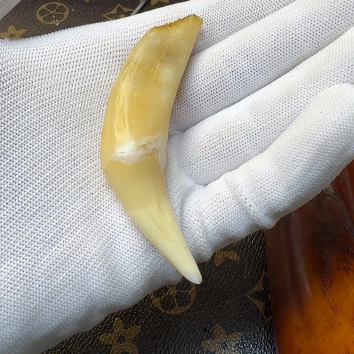 鹿骨手串/手链手串