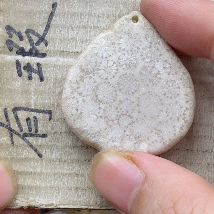 颈饰未镶嵌硅化珊瑚（珊瑚玉）另**蓝