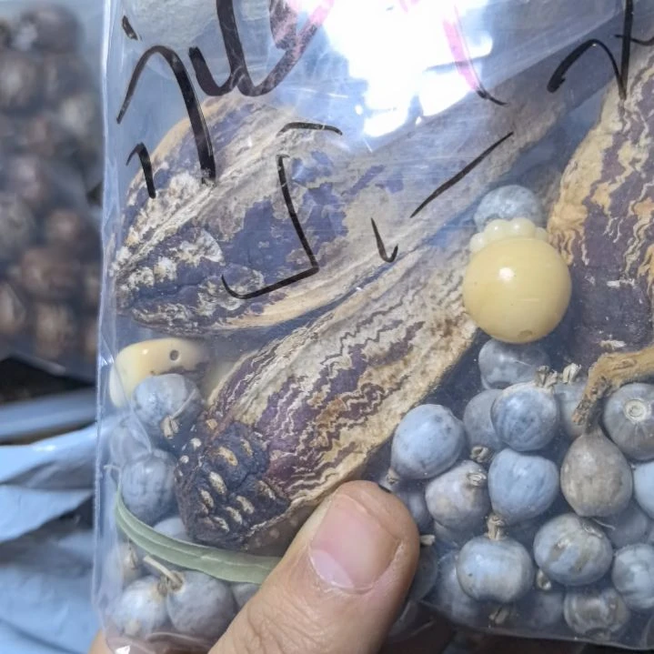 *****白玉菩提吊坠菩提散珠自选菩提散珠自选菩提