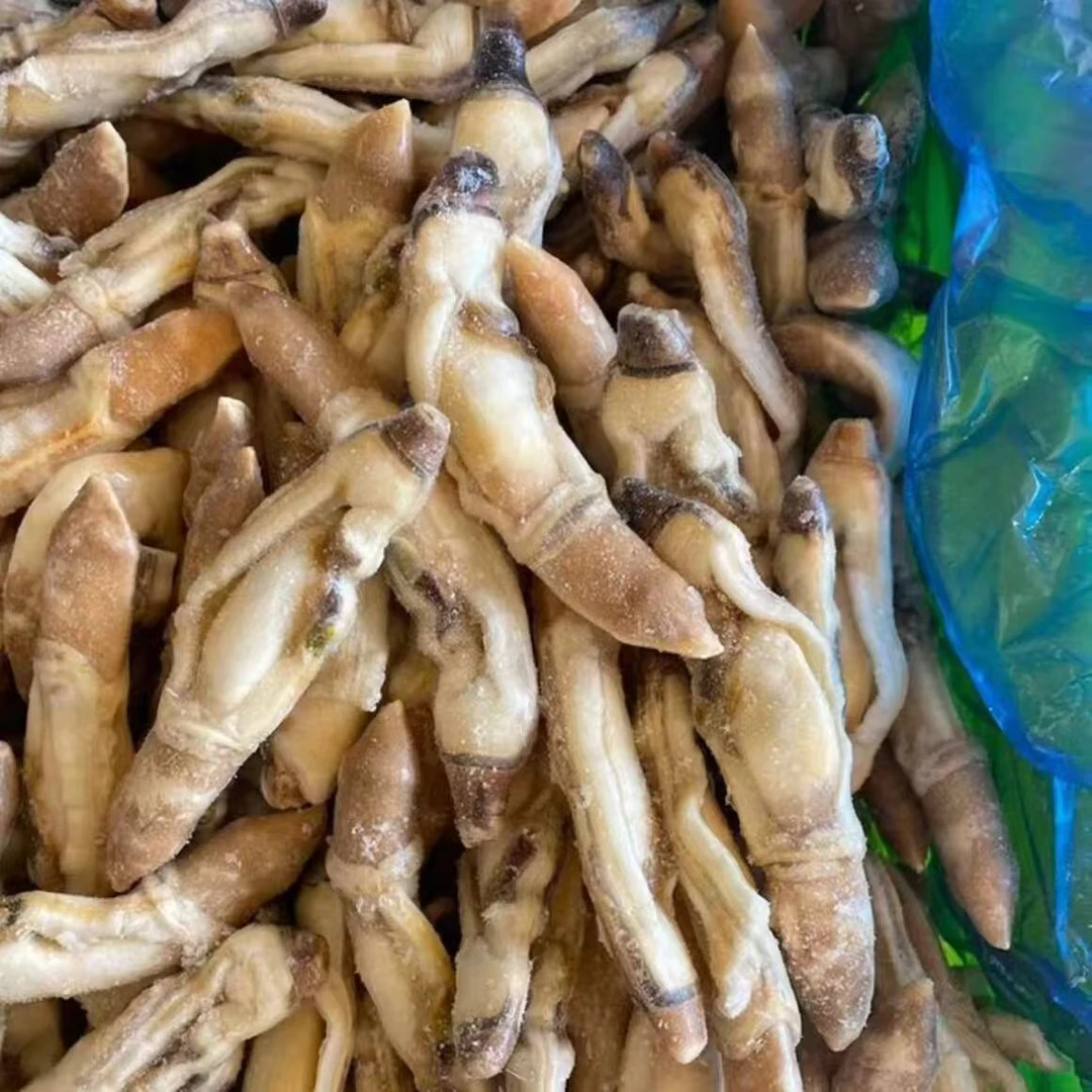 东港称王肉大个竹节蛏无沙带黄