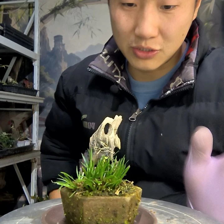 一***.中青园艺一物一拍花404