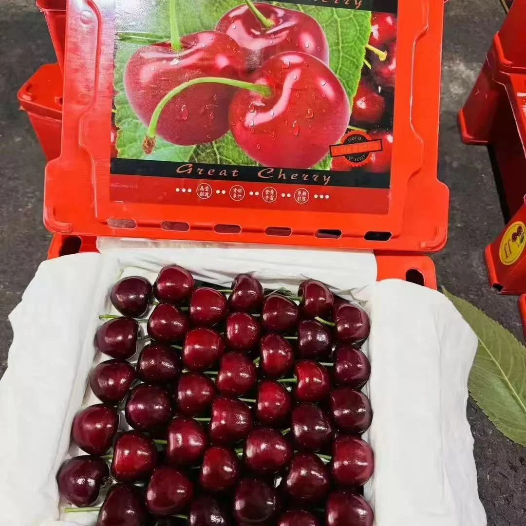 【整箱】8J 大连美早樱桃 空运 一箱净重1.5斤往上