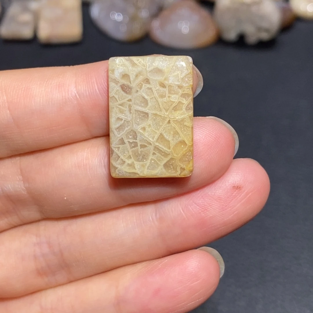 【闪购商品】未镶嵌珊瑚玉硅化玉