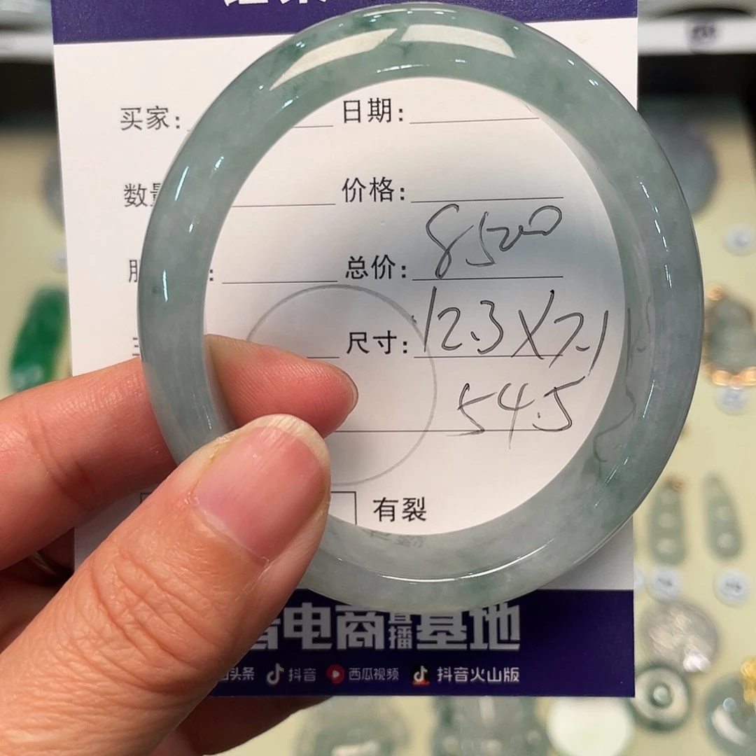 呐****翡翠未镶嵌颈饰天然缅甸A货翡翠