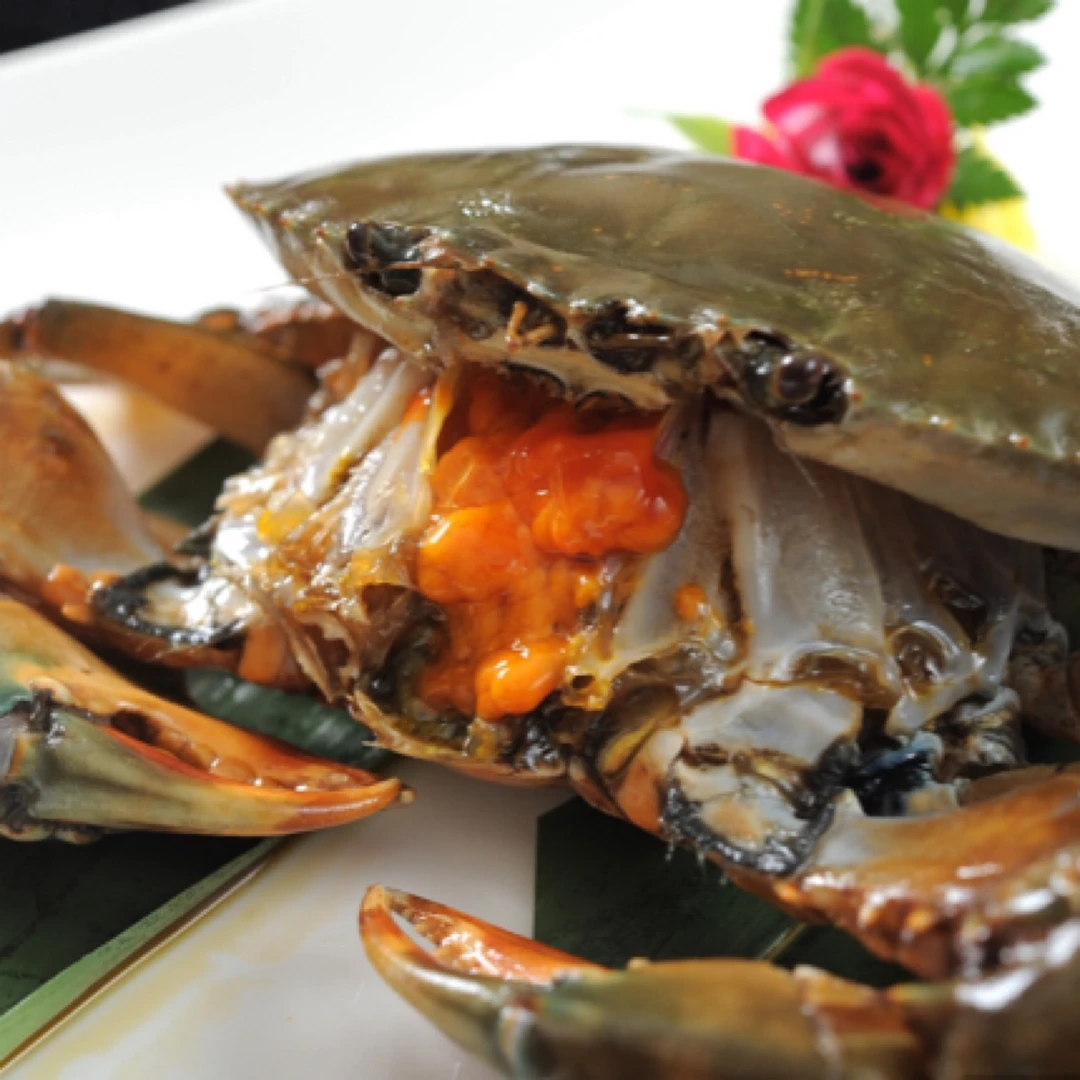 鲜活红树林3.5-4两大膏蟹红膏蟹大母蟹大青蟹