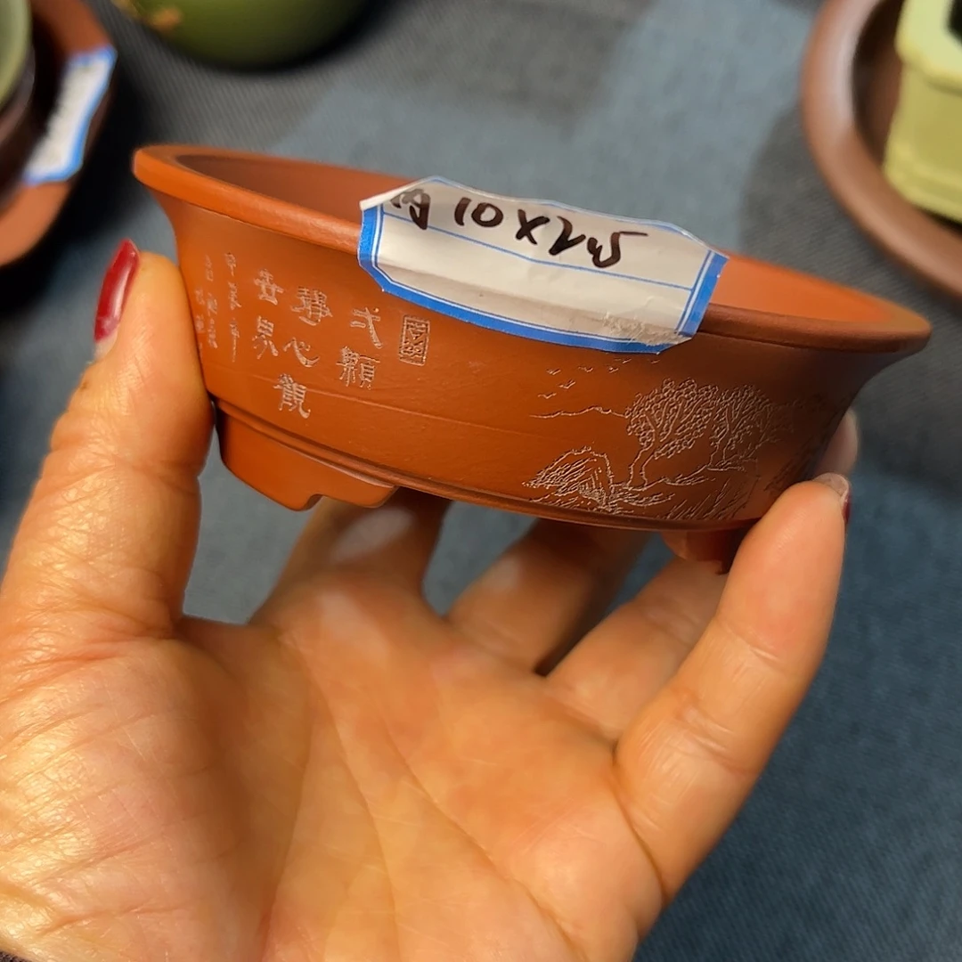 精选紫砂红皮龙小圆盆