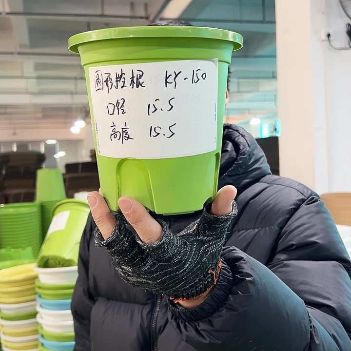 正品圆控口15高15果绿无托10只