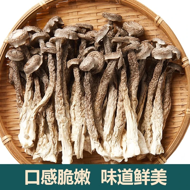 农家甄选鹿茸菇鲜香脆嫩可爆炒炖汤的云南食用菌