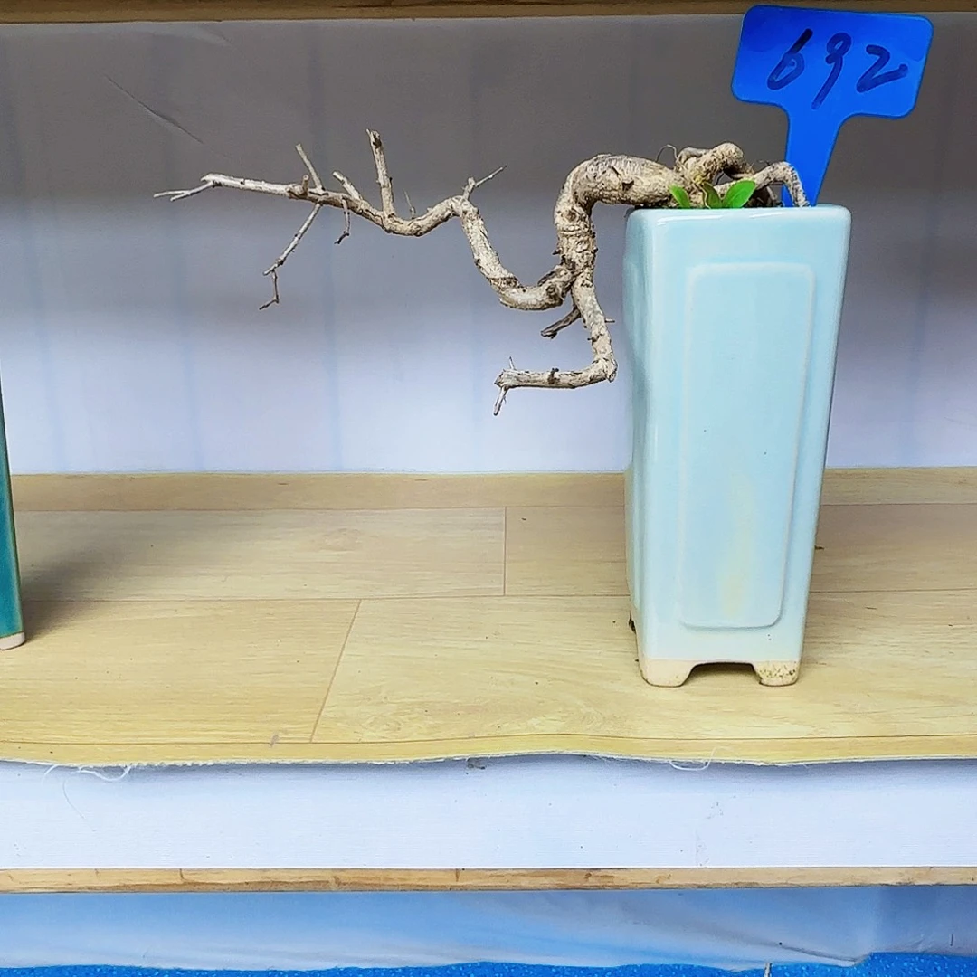 红陶茶****語d c b n j k k l