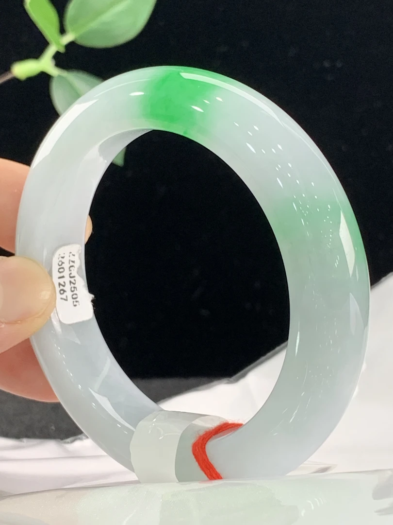 天然缅甸翡翠A货手镯55正圈1267