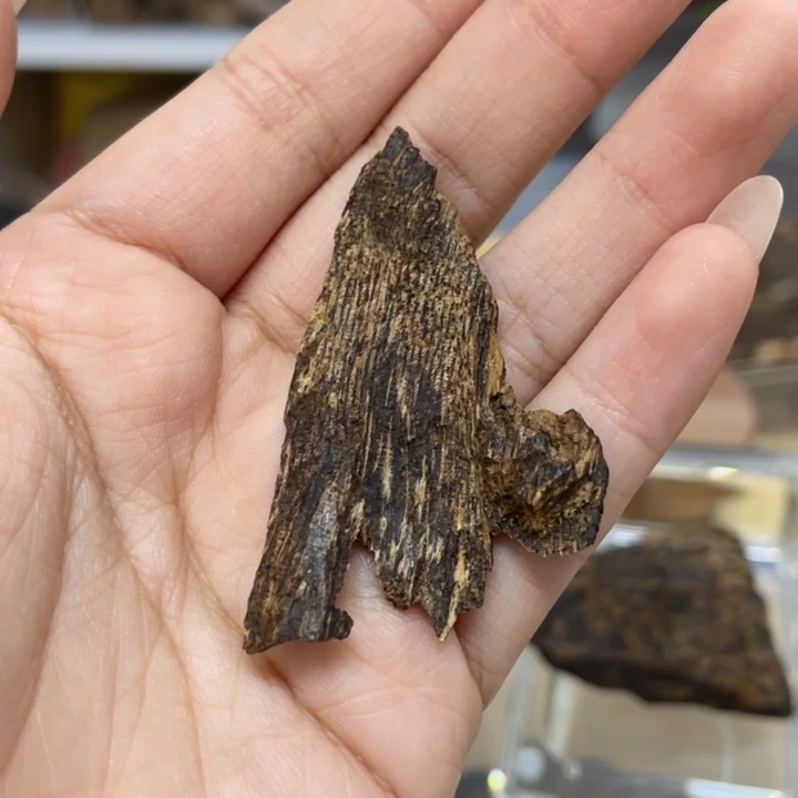 沉香惠安沉水根部香2.2克重福利