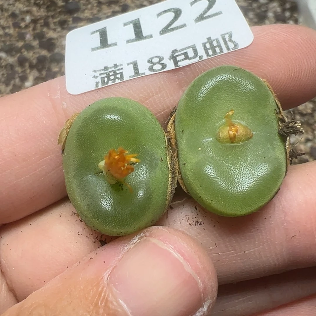 【闪购商品】1122……
