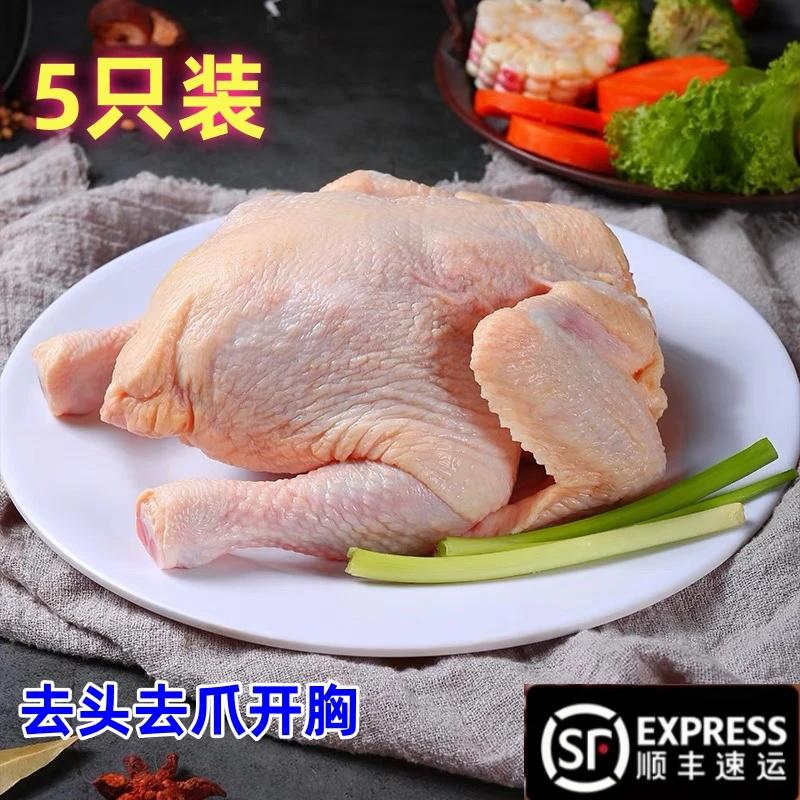 西装童子鸡5只炸鸡烤鸡脆皮鸡嫩鸡去头去爪开胸冷冻西装鸡 白条鸡
