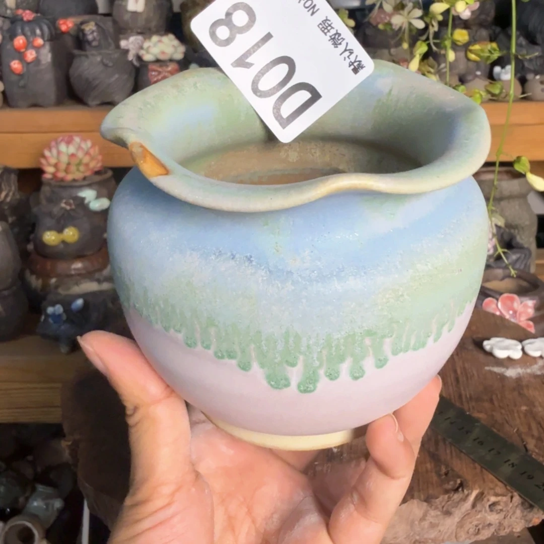 重庆小燕子欢迎大家018