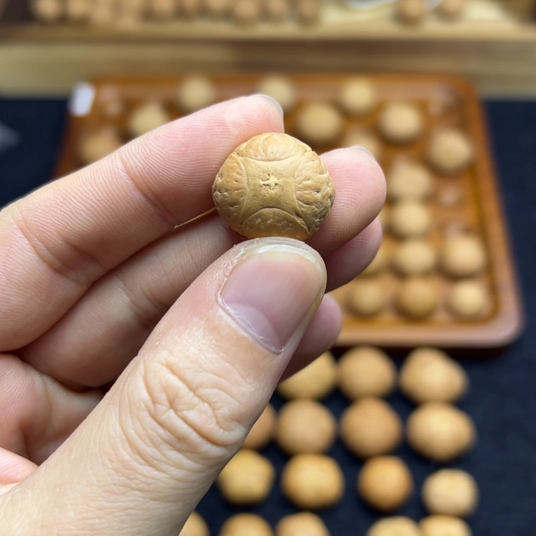 凤眼菩提手串19.9麒麟眼