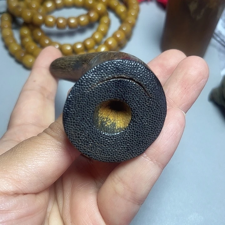 大果紫檀（缅甸花梨）