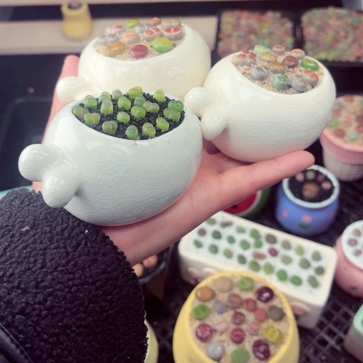 674零下地区记得拍保温箱满18包邮