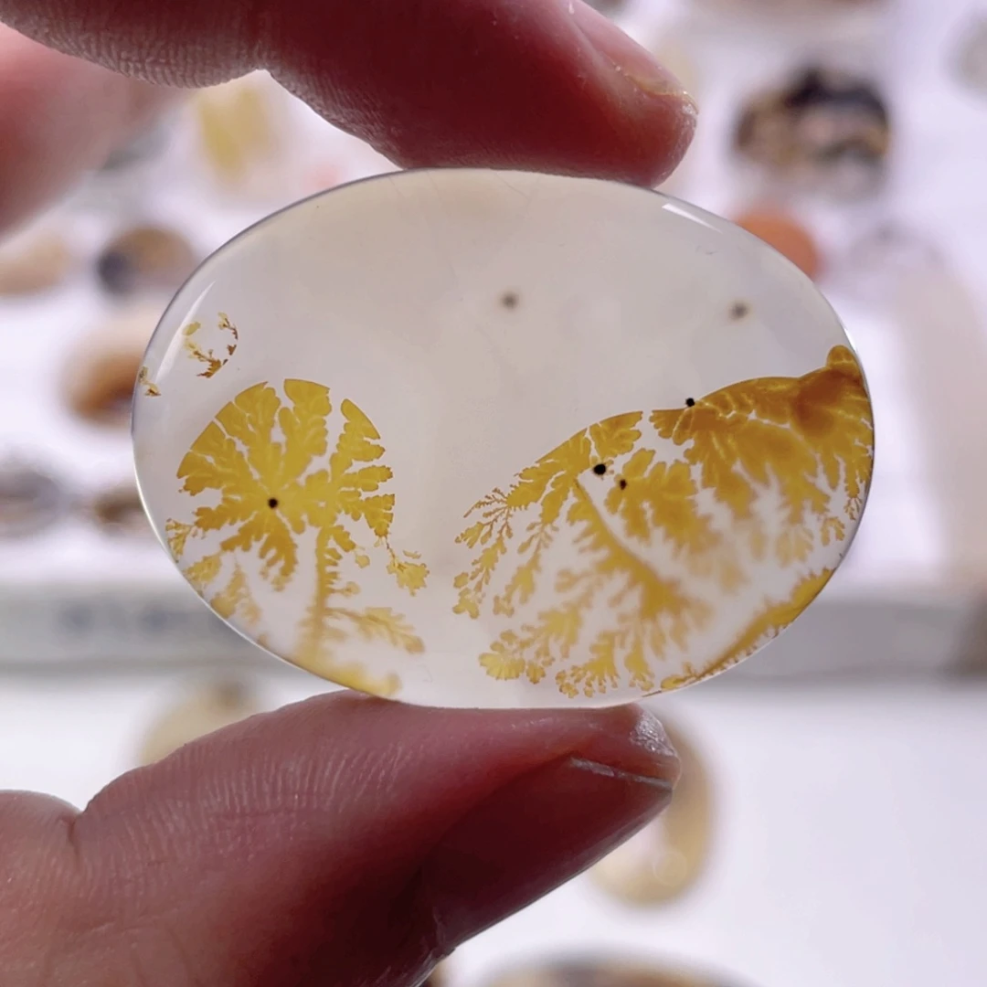 玛瑙/玉髓颈饰合金