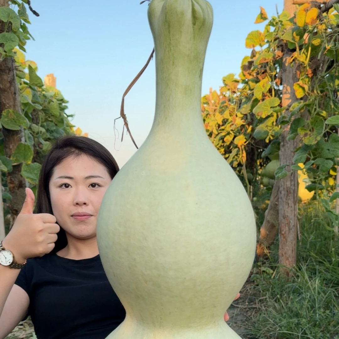 1米四六肚花头大八宝葫芦，10粒