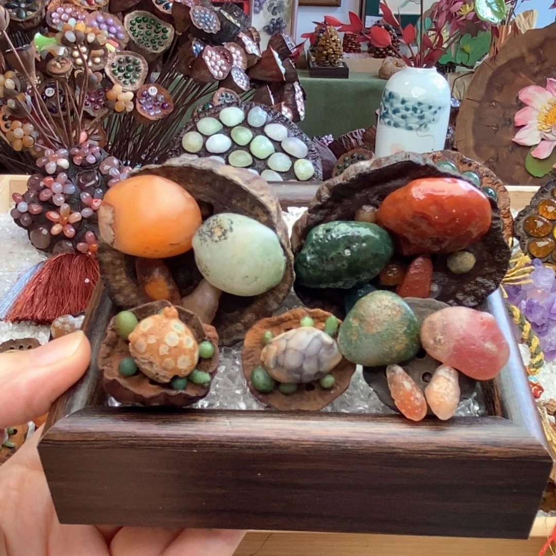 风***淡木石院子莲蓬蘑菇