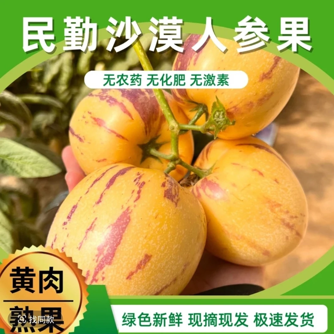 【甘肃民勤】沙漠人参果产地直发清甜多汁黄肉大果新鲜采摘树熟低糖