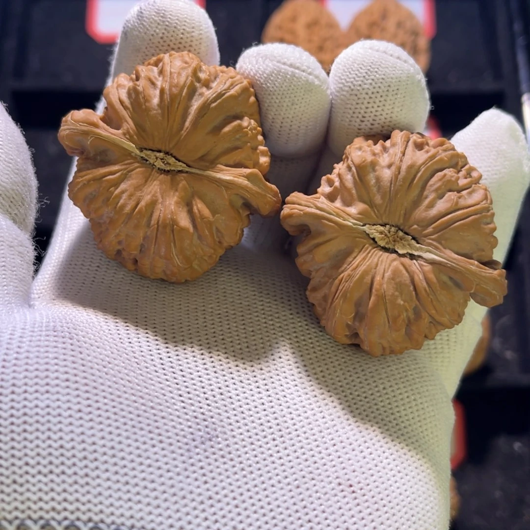 秦皇岛山地果45闷白全品40