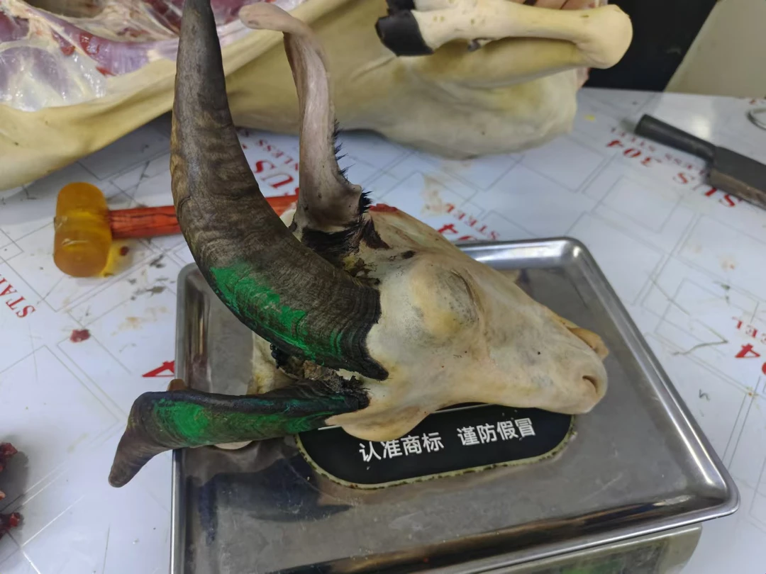 农家散养黑山羊羊头整只带脑袋肉