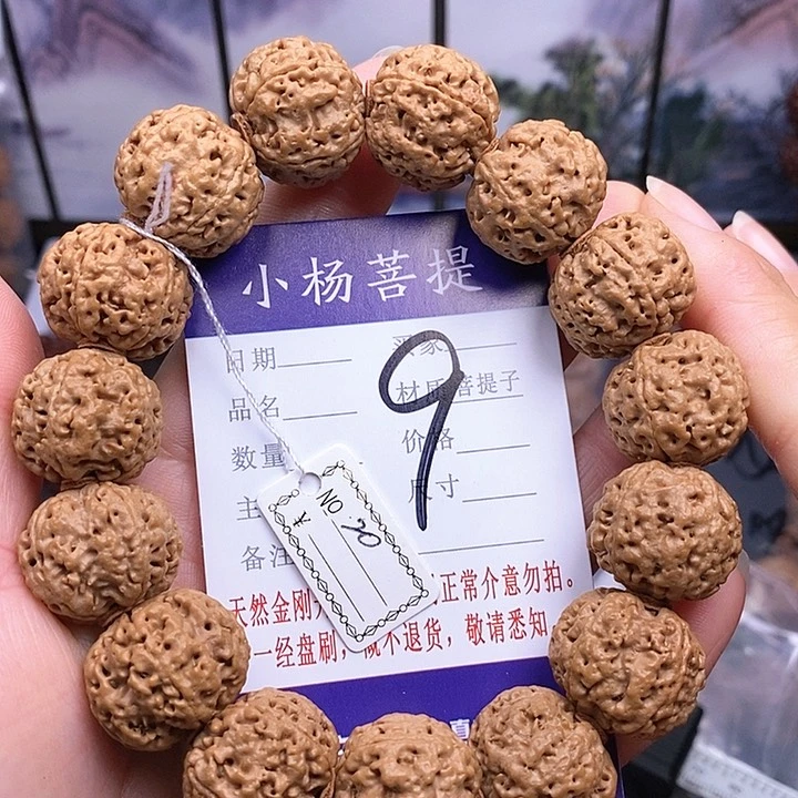手串金刚菩提20双龙