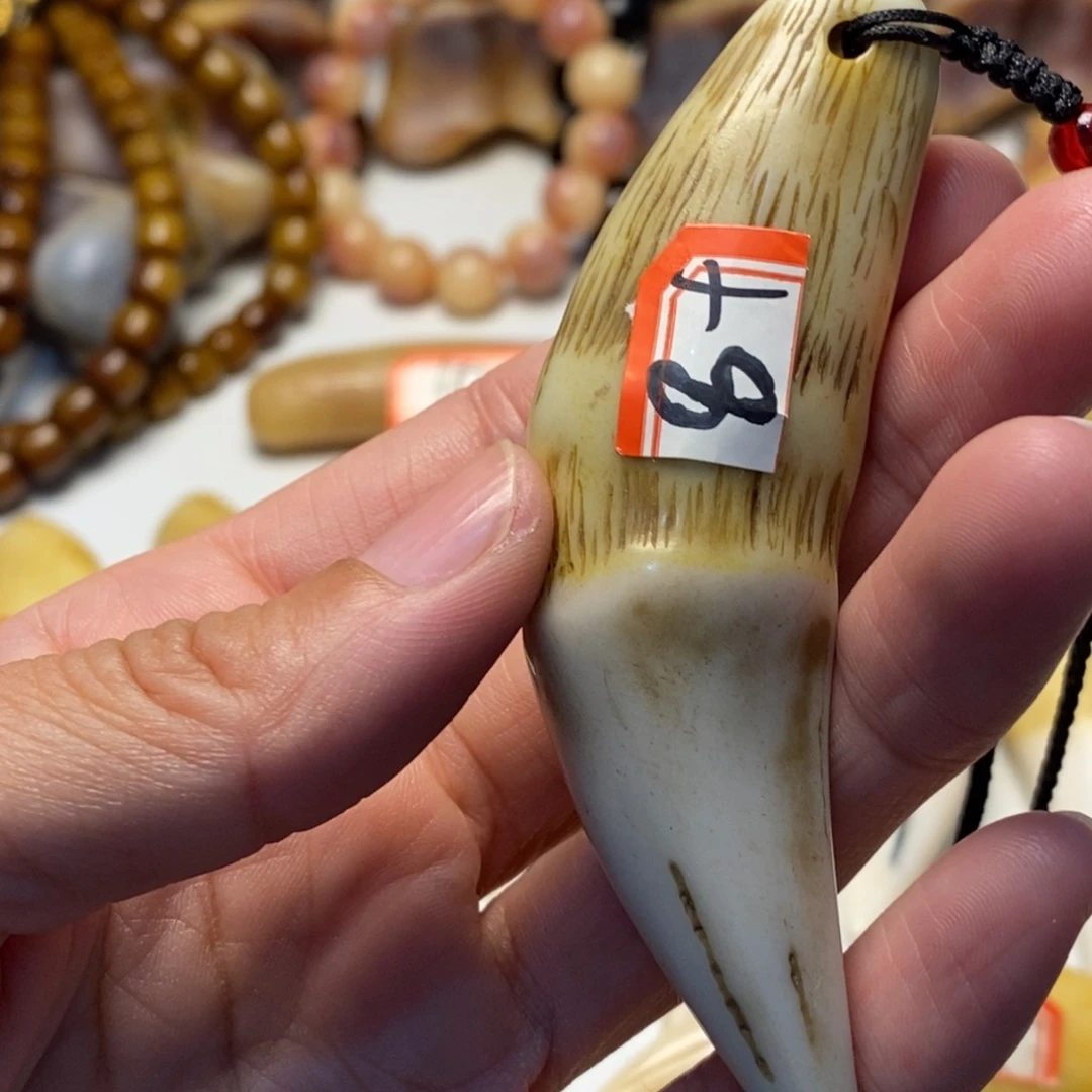 驼骨把件驼骨把件深色牙牙