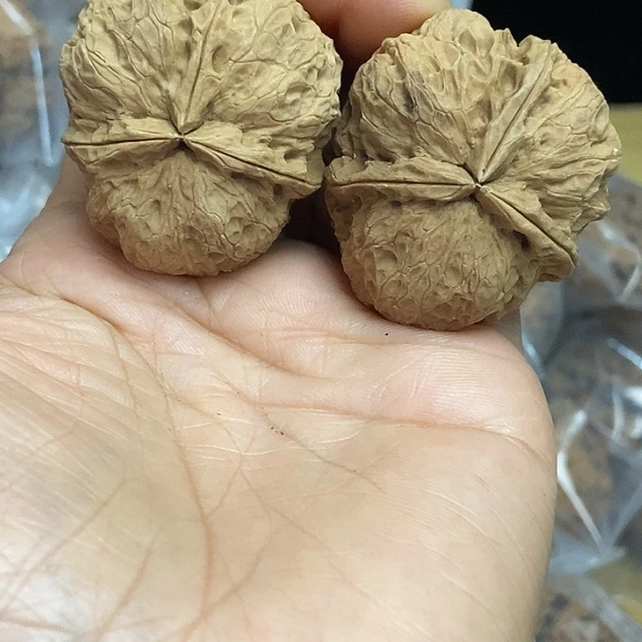 文玩核桃把件云南铁核桃基地73