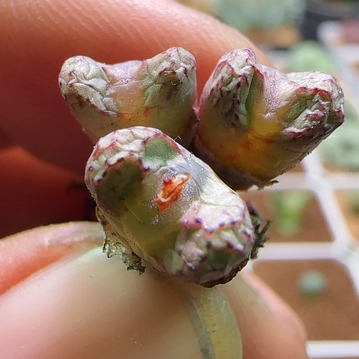 哈哈哈哈哈哈哈哈哈哈213