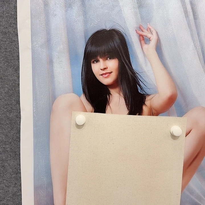 金寨画作欣赏作品