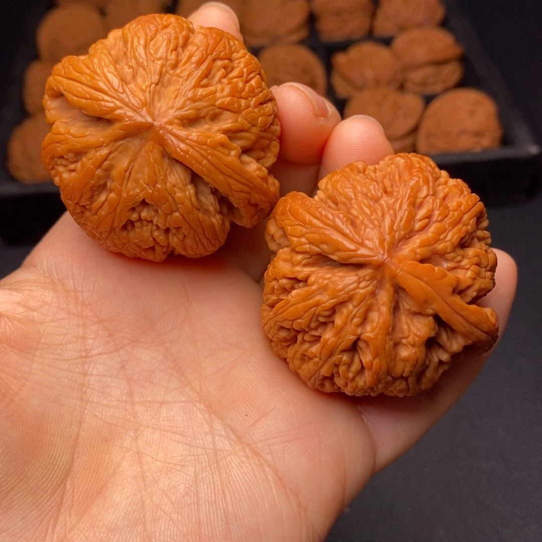 文玩核桃把件秦岭野生核桃