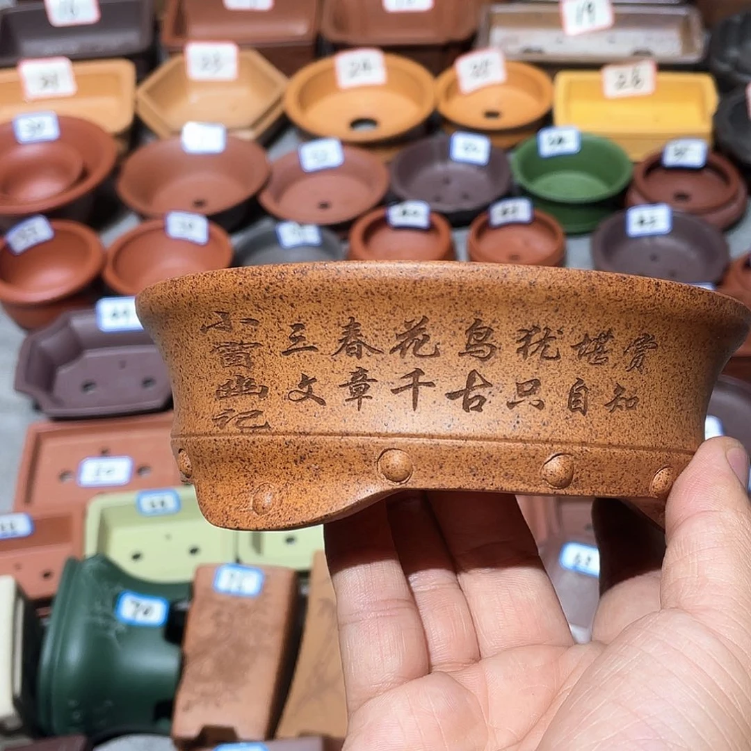 紫砂小盆12.5*3.5cmmmm