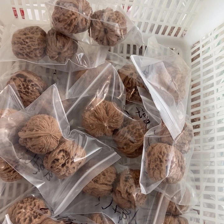 吊坠文玩核桃门墩儿瑕疵