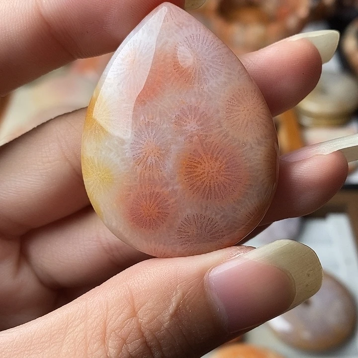 武***。硅化玉未镶嵌颈饰