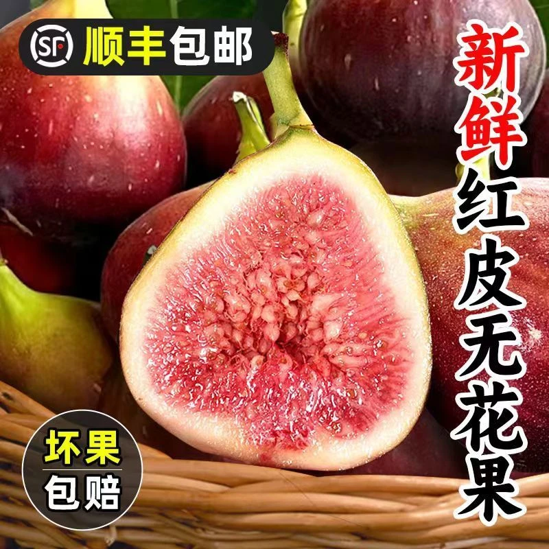 云南波姬红鲜果李子无花果新鲜现摘现发产地直发应季饱满甜润水果