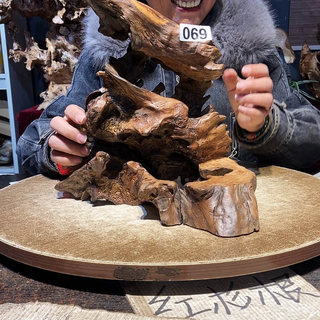 沉***！069。株木随行根艺