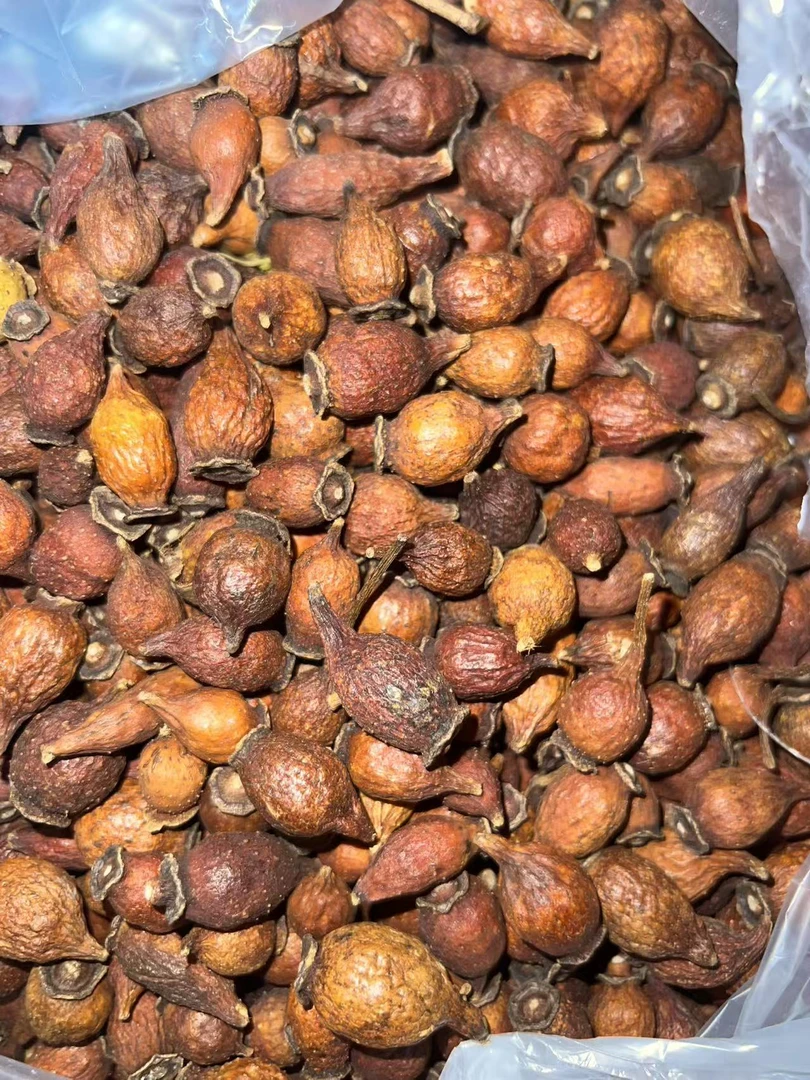 {老潘优选}精选正宗金樱子 滋补后期货干净甄选手工自然晾晒