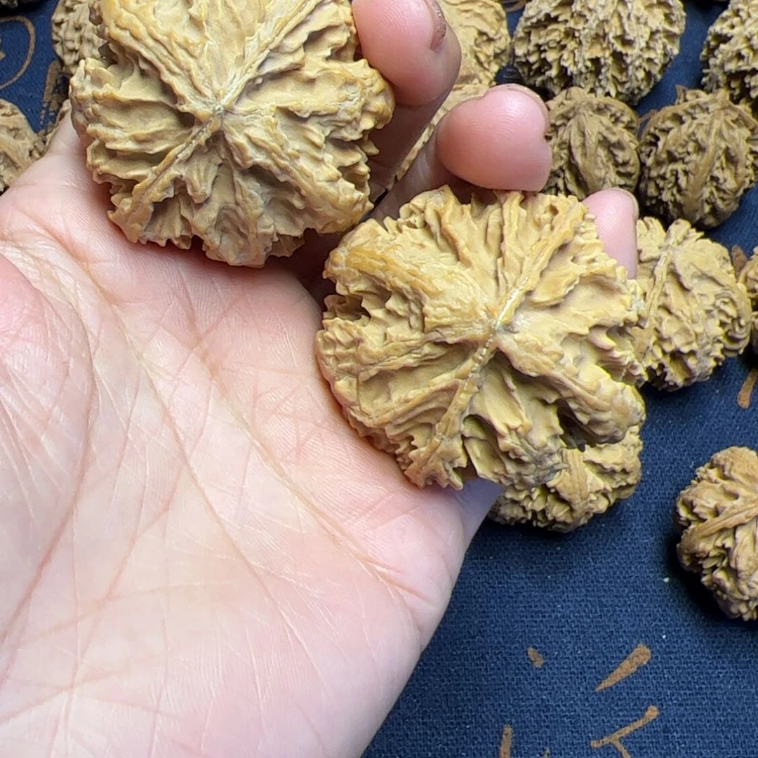 文玩核桃把件秦岭野生植物核桃