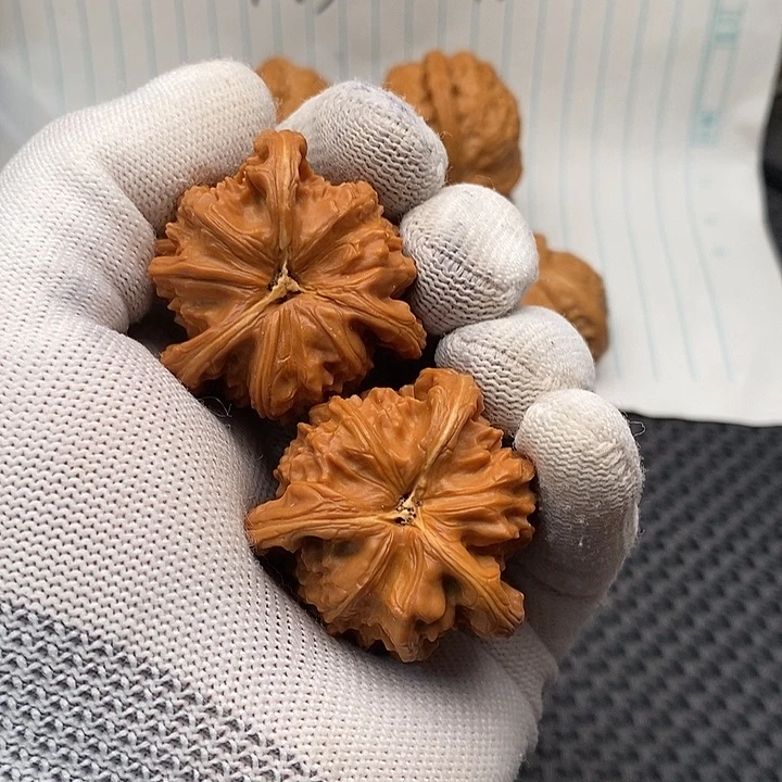 核桃手串/手链拼接白狮子3