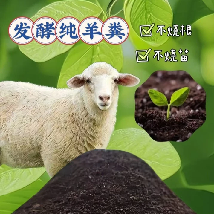纯羊粪有机肥10kg